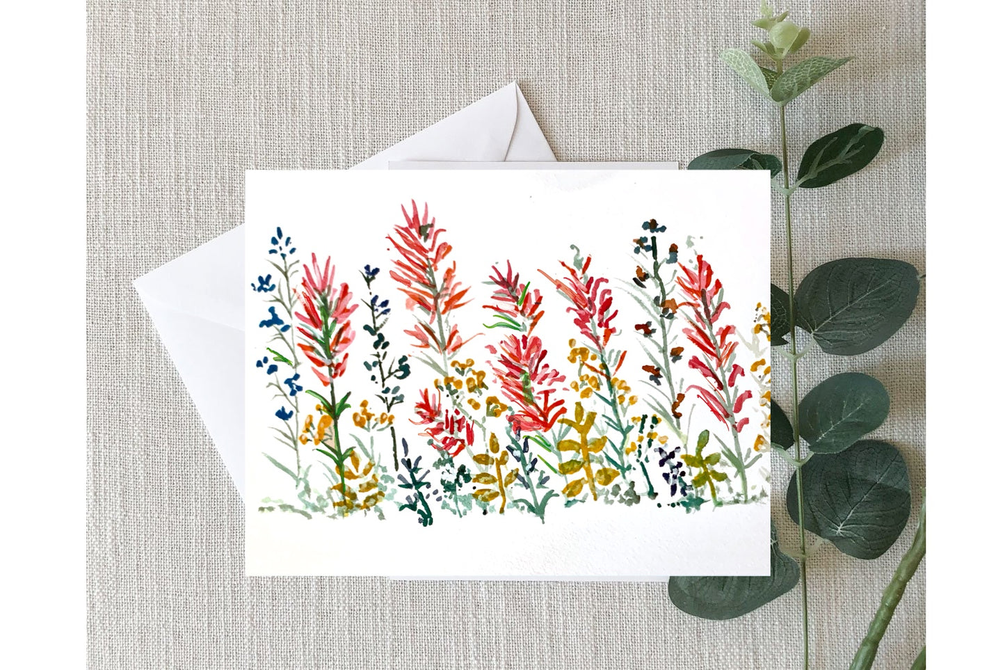 Greeting Cards - Indian Paintbrush