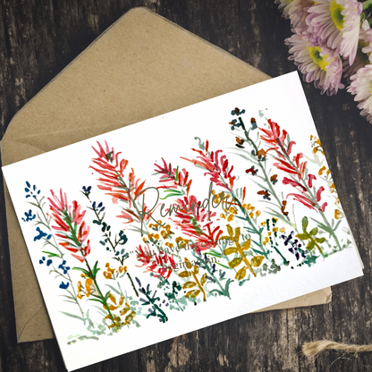 Greeting Cards - Indian Paintbrush