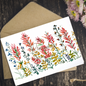 Greeting Cards - Indian Paintbrush