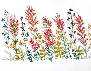 Greeting Cards - Indian Paintbrush