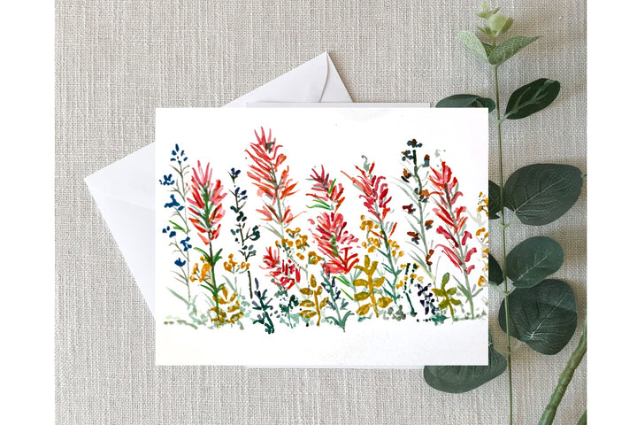 Greeting Cards - Indian Paintbrush