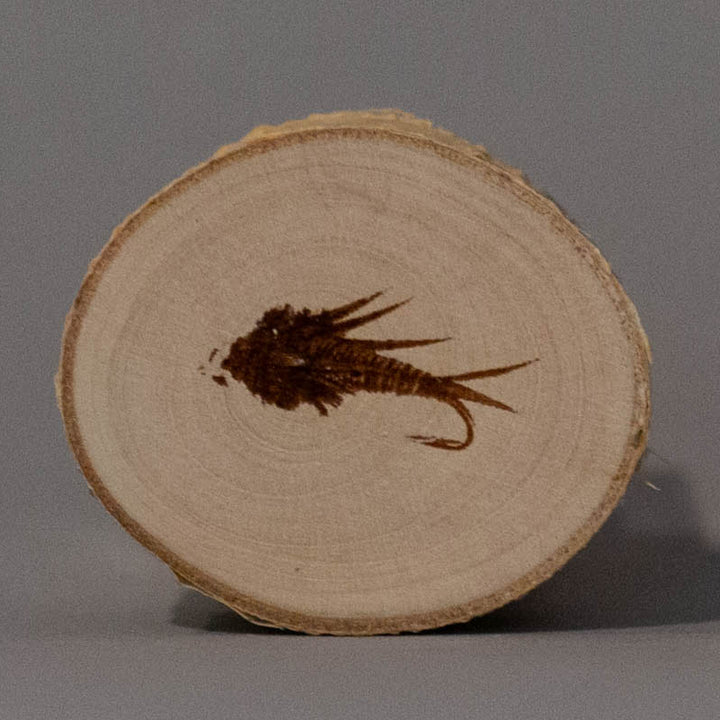 Magnets - Fly Fishing Collection