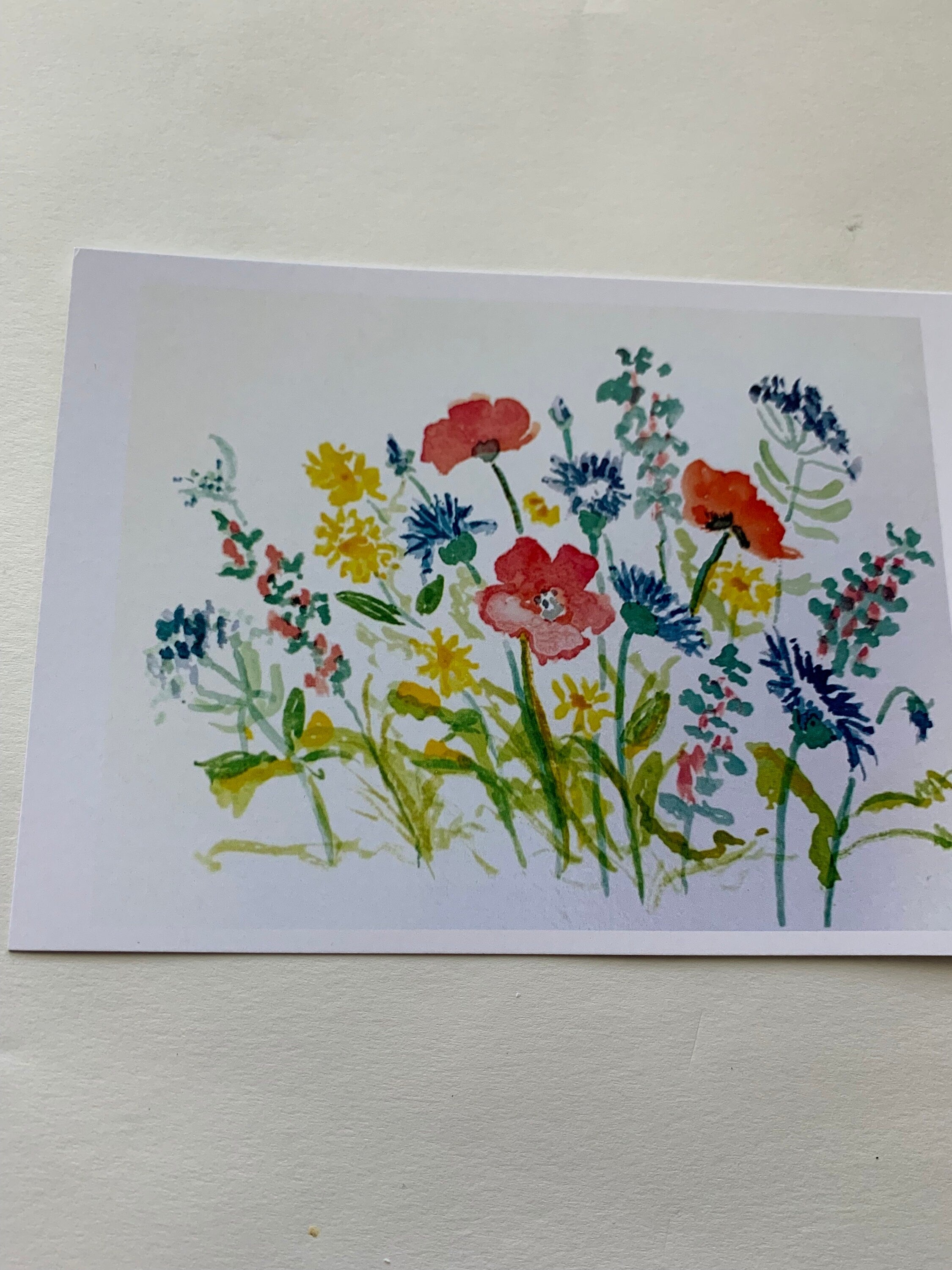 Wildflower Watercolor Greeting Cards, Blank Inside, All Occasions (Set of 4)