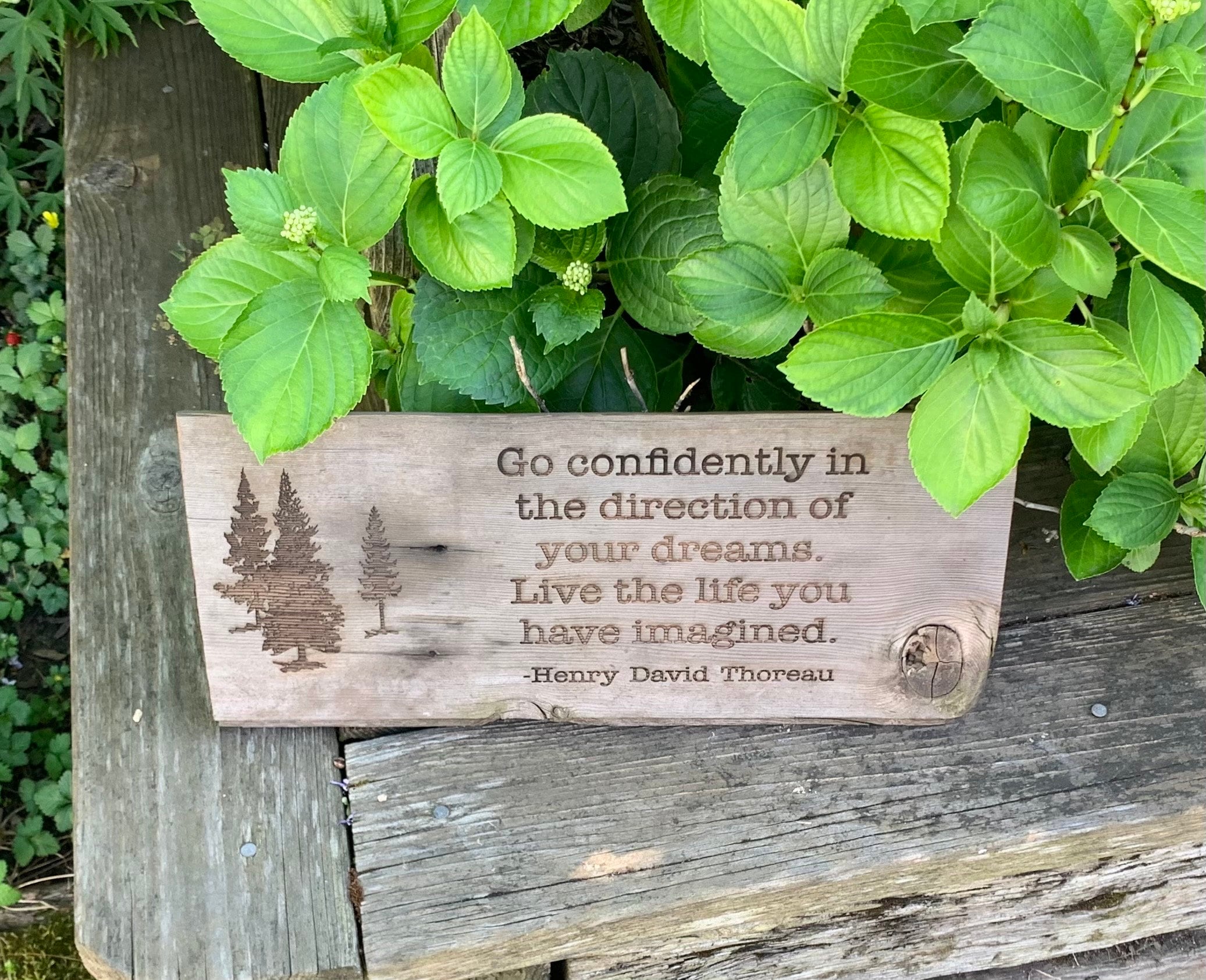 Henry David Thoreau Quote Sign, Reclaimed Barn Wood Art (17x7")