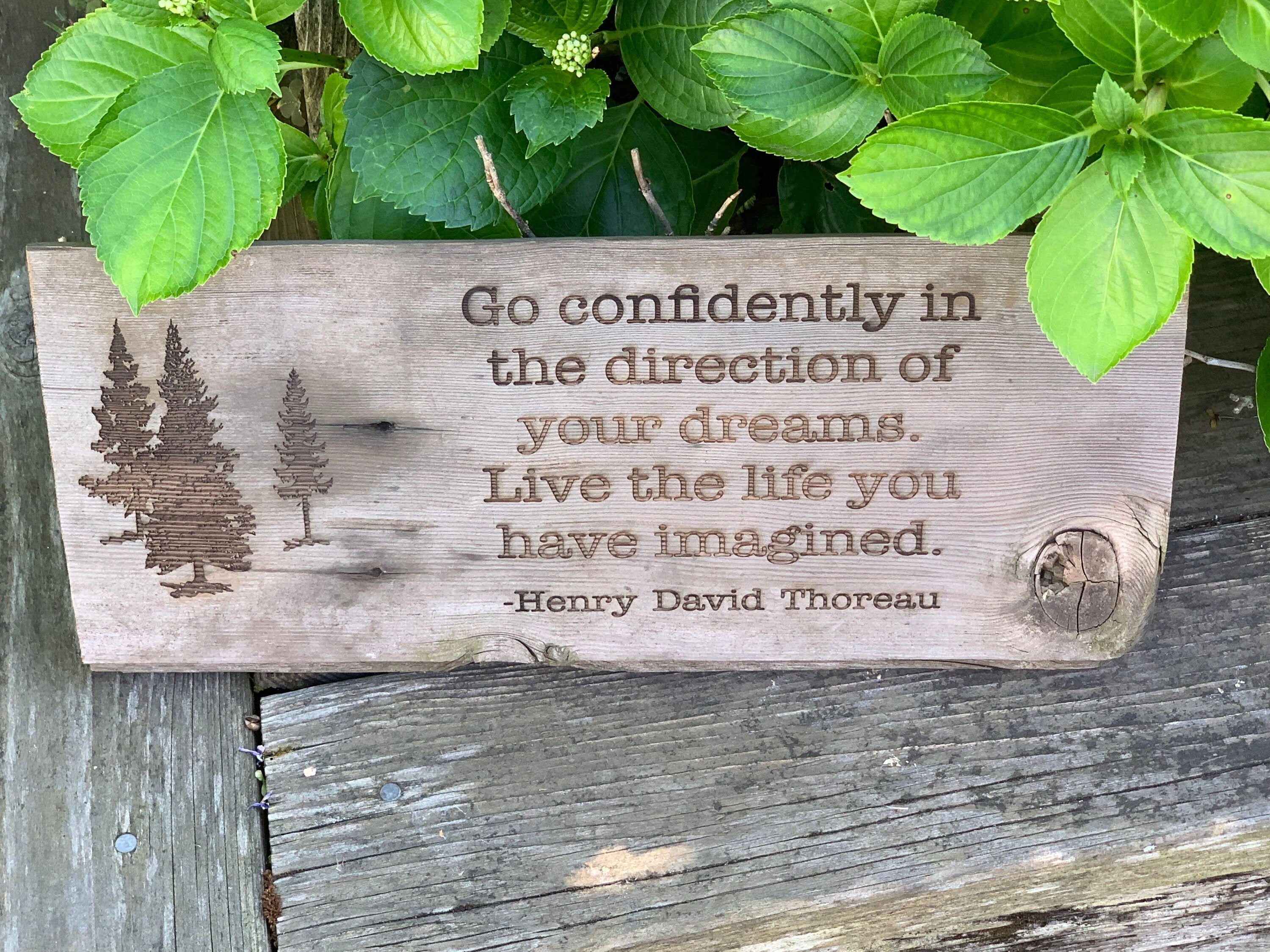 Henry David Thoreau Quote Sign, Reclaimed Barn Wood Art (17x7")
