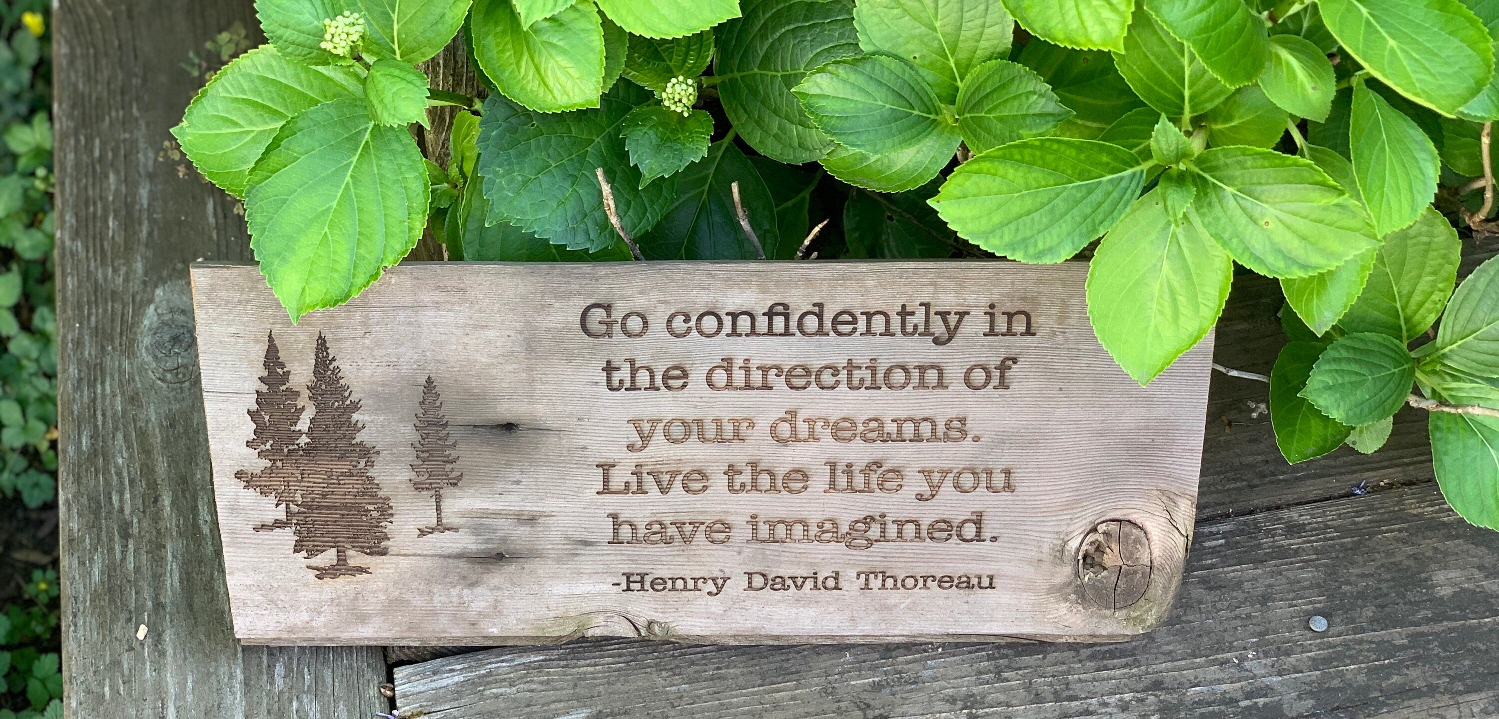 Henry David Thoreau Quote Sign, Reclaimed Barn Wood Art (17x7")