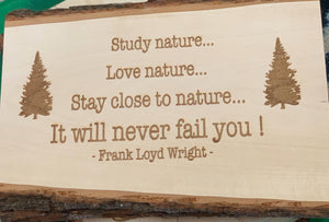 Frank Lloyd Wright Quote Sign, Rustic Barn Wood Wall Decor, Nature Lover Art