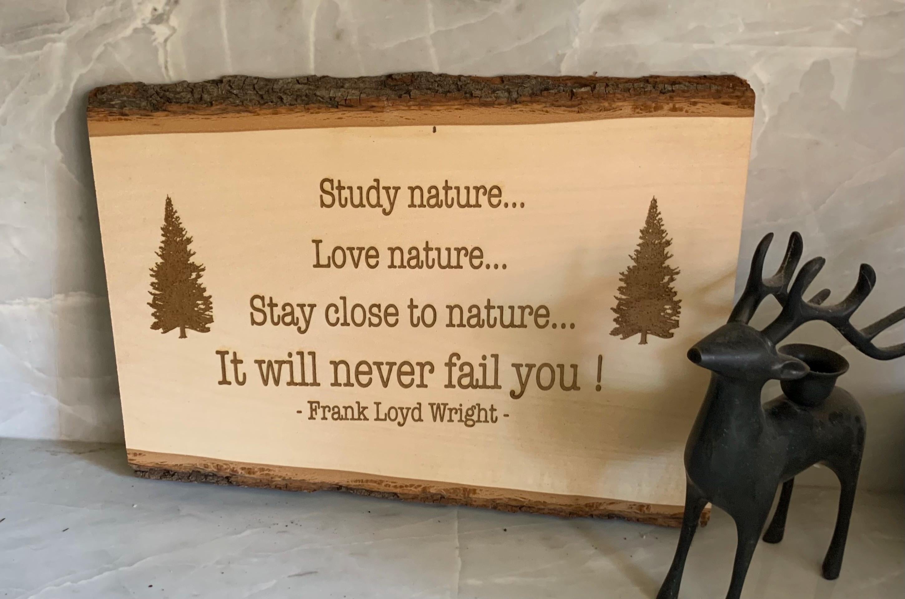Frank Lloyd Wright Quote Sign, Rustic Barn Wood Wall Decor, Nature Lover Art