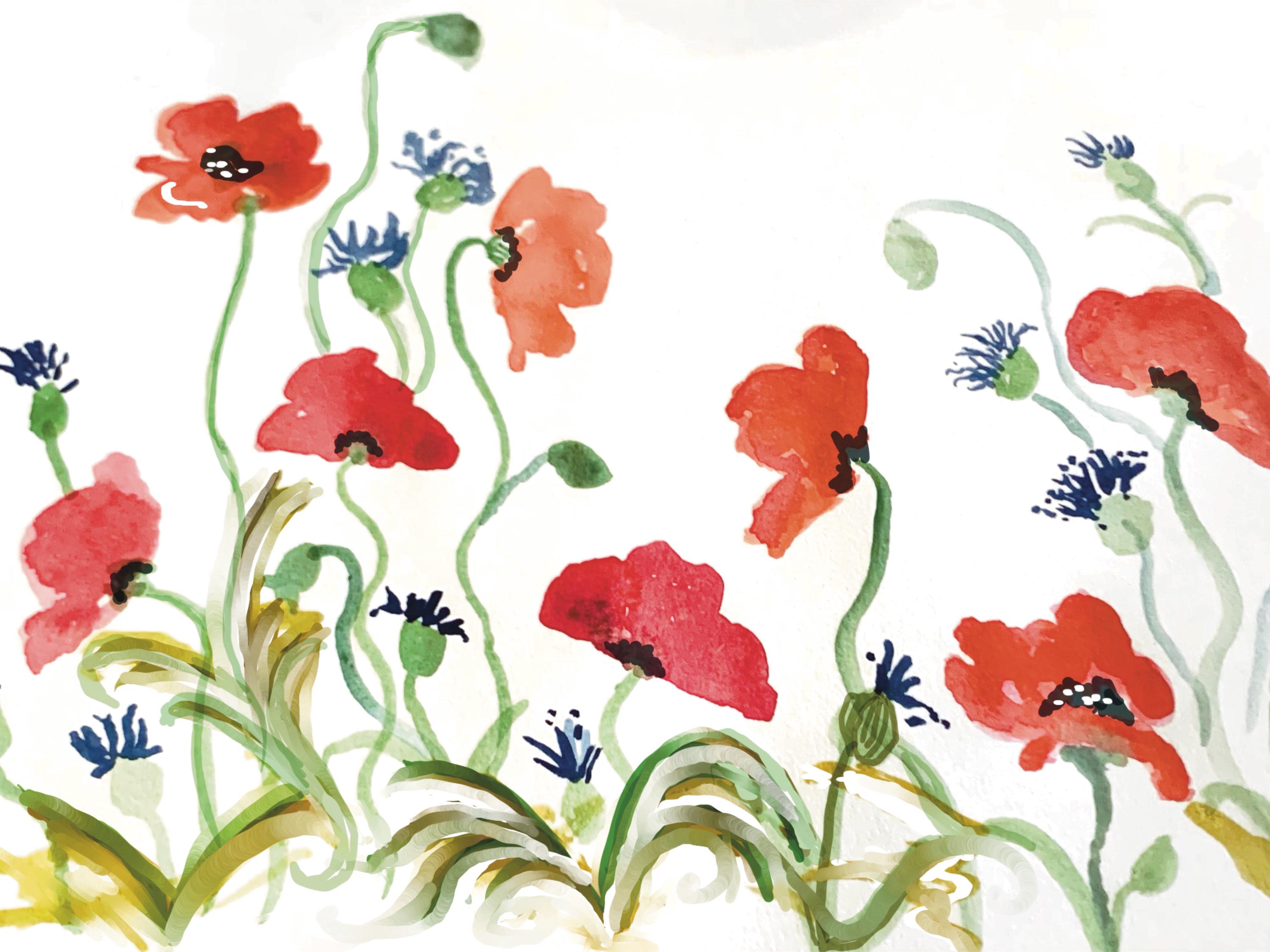 Poppy design
 original watercolor by Anne
7x5” heavy card stock
blank inside for your own message