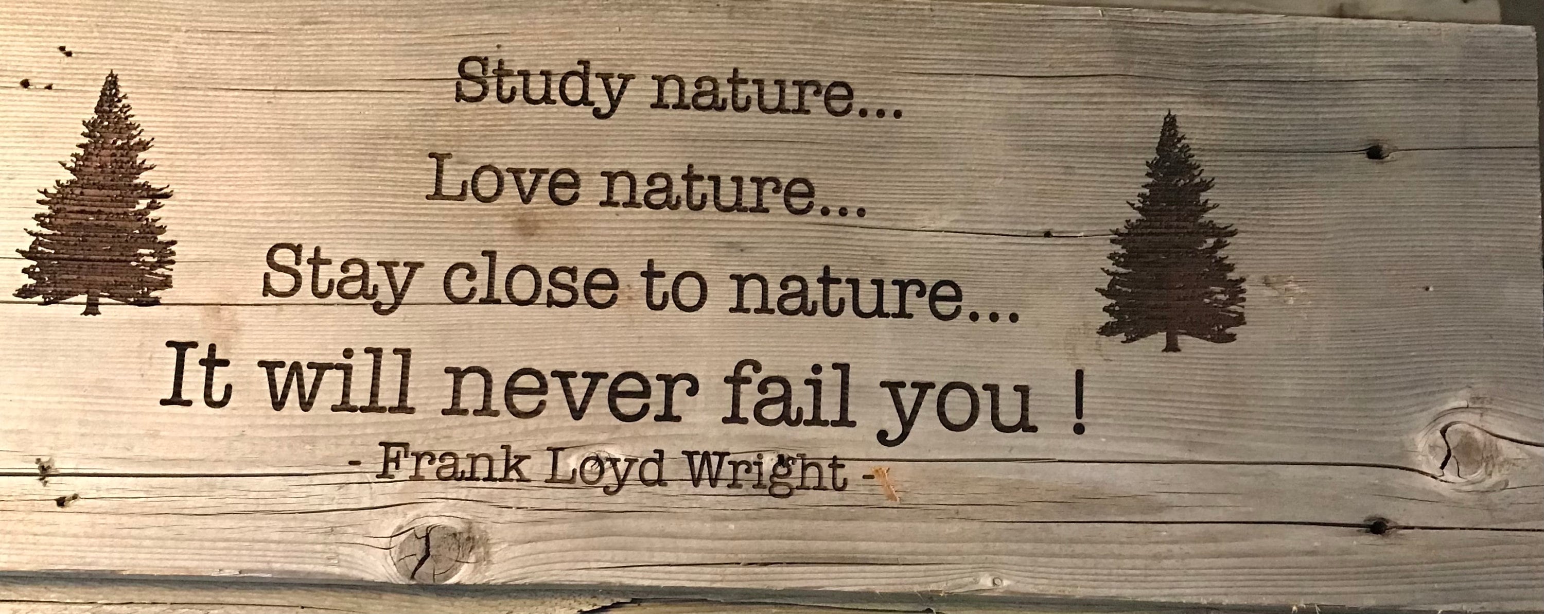 Rustic Wood Sign Famous Quote Display Nature Inspired Wall Art Reclaimed Barn Wood Natural Edge Finish Inspirationalx Message Display Perfect For Cabin Cottage Accent Living Room Wall Feature