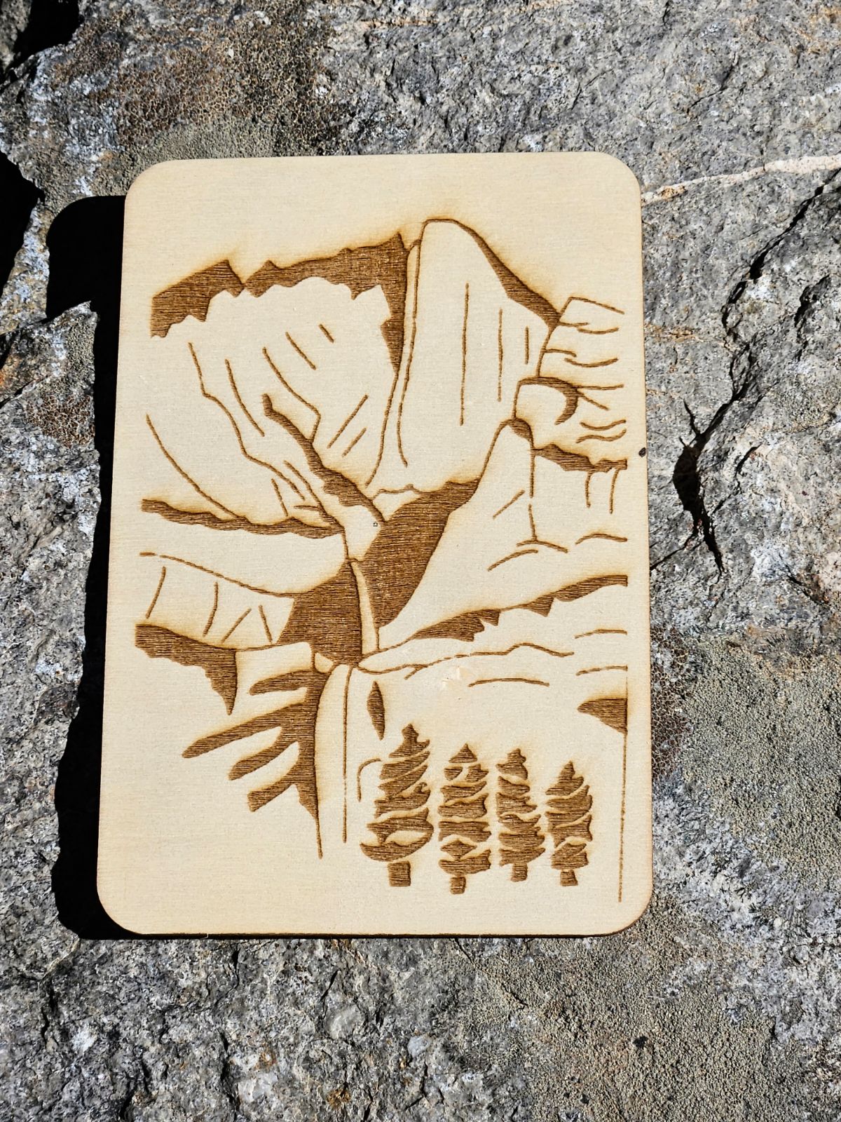 Etchings of Yosemite