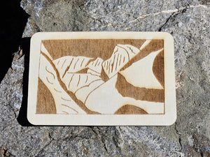 Etchings of Yosemite