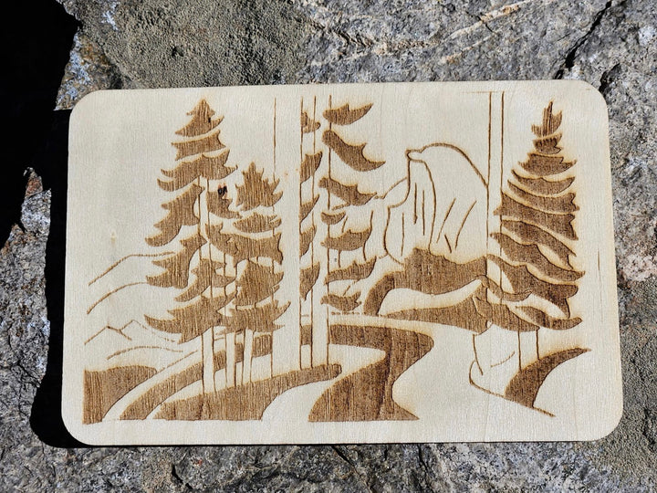 Etchings of Yosemite